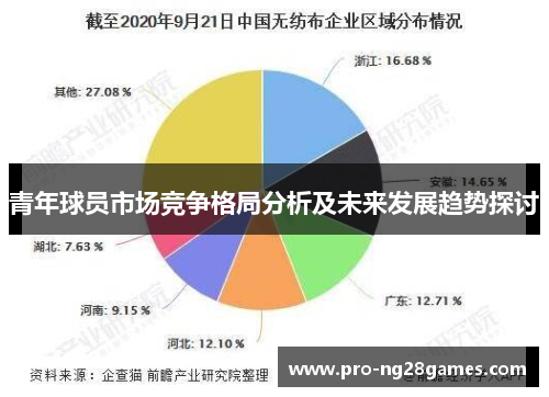 青年球员市场竞争格局分析及未来发展趋势探讨